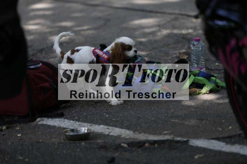 /Archiv-2023/40 14.07.2023  Moto Club Anneau du Rhin/Impressionen